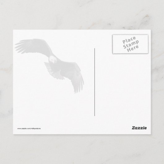 Eagle Eye Briefkaart (Achterkant)