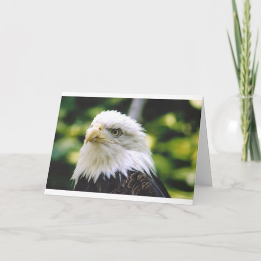 Eagle Eye Kaart (Voorkant)