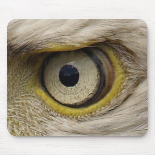 Eagle Eye Mousemat Muismat (Voorkant)