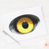 Eagle Eye Ovale Sticker (Envelop)