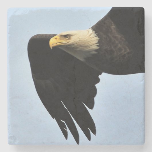 Eagle Eye Portrait Stenen Onderzetter (Voorkant)