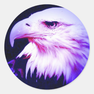 Eagle Eye Ronde Sticker