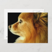Eagle Eyed Pomeranian Briefkaart (Voorkant / Achterkant)