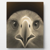 Eagle Eyes Fotoplaat (Voorkant)
