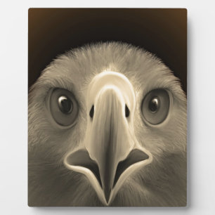 Eagle Eyes Fotoplaat