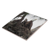 Eagle-familie die Spiegeland Tile zingt Tegeltje (Zijkant)