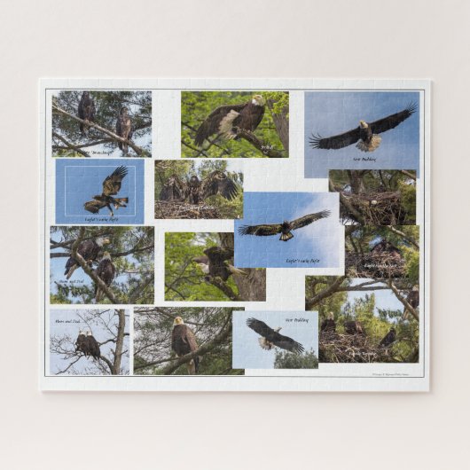 Eagle Family Life Legpuzzel (Horizontaal)