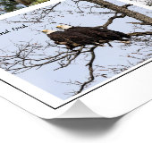 Eagle Family Life Perfect Poster (Hoek)