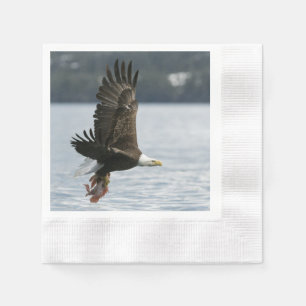 Eagle Fish Retrieval Servet