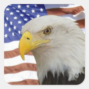 Eagle flag sticker