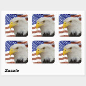Eagle flag sticker (Vel)