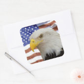 Eagle flag sticker (Envelop)