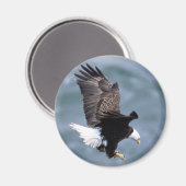 Eagle Flight Magneet (Voorkant / Achterkant)