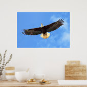 Eagle Flying Poster (Keuken)