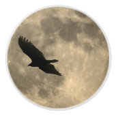 Eagle Flying Silhouette on Moon Drawer Pull Knop (Voorkant)