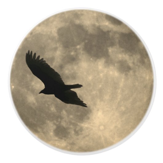Eagle Flying Silhouette on Moon Drawer Pull Knop (Voorkant)