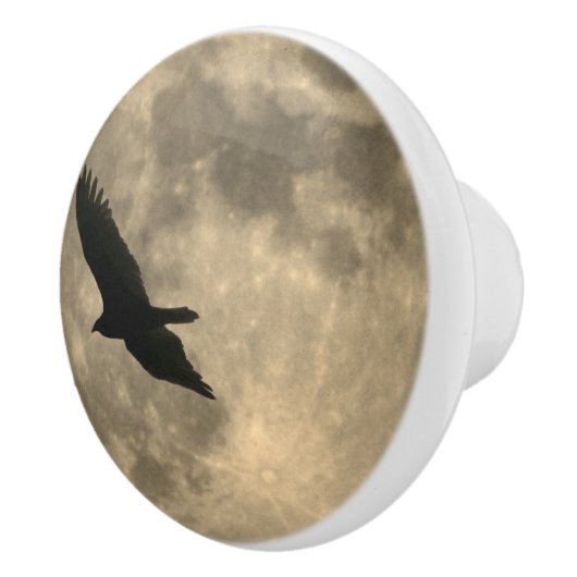 Eagle Flying Silhouette on Moon Drawer Pull Knop (Rechts)