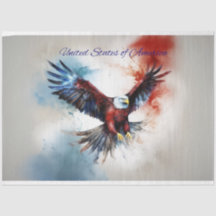 Eagle Flying Verenigde Staten van Amerika Decoupag