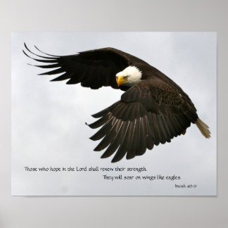 Eagle Foto met Bijbelversie Poster