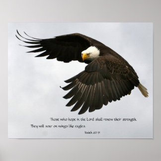 Eagle Foto met Bijbelversie Poster