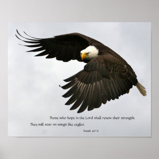 Eagle Foto met Bijbelversie Poster (Voorkant)