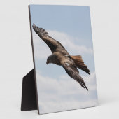 Eagle Fotoplaat (Zijkant)