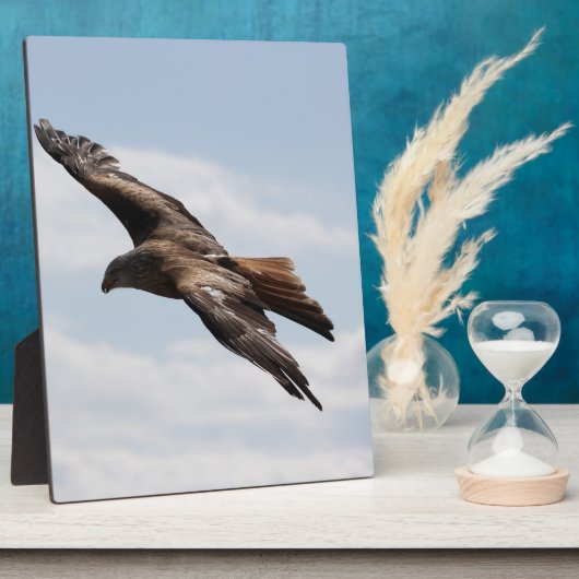 Eagle Fotoplaat (Zijkant)