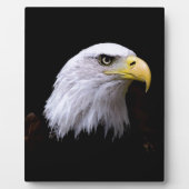 Eagle Fotoplaat (Voorkant)