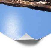 Eagle Games Foto Afdruk (Hoek)