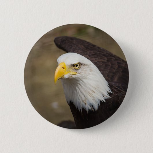 Eagle Gaze Button - Steady. Sharp. Vrij. (Voorkant)