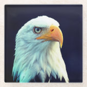 Eagle Glazen Onderzetter (Voorkant)