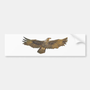 Eagle Golden Eagle Bald Eagle Bumpersticker