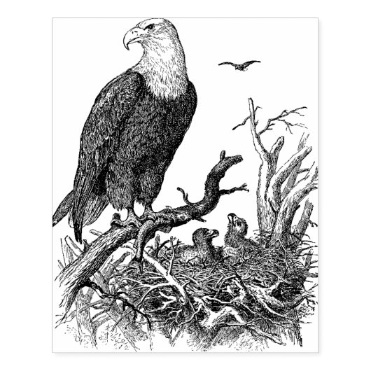 Eagle Grote Kaart Maken Rubber Stempel (Afrduk)