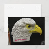 Eagle Head Briefkaart (Voorkant / Achterkant)