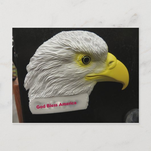 Eagle Head Briefkaart (Voorkant)