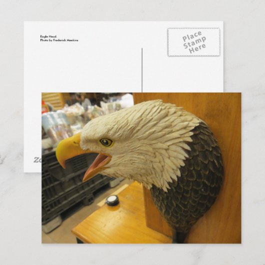 Eagle Head Briefkaart (Voorkant / Achterkant)