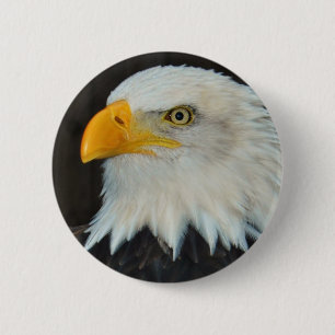Eagle Head Button