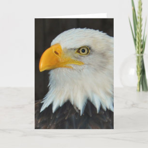 Eagle Head Greeting Card Kaart