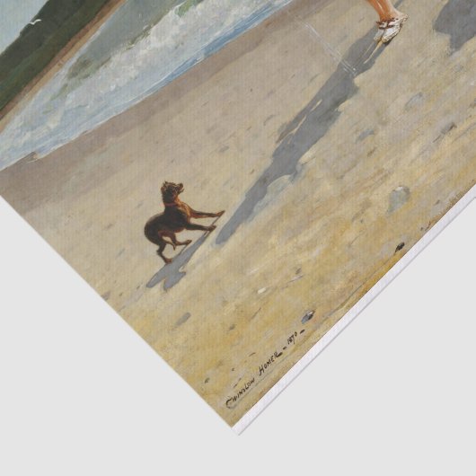 Eagle Head, Manchester, Massachusetts (hoogwater) Tissuepapier (Detail)