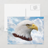 Eagle Head - Postkaart (Voorkant / Achterkant)