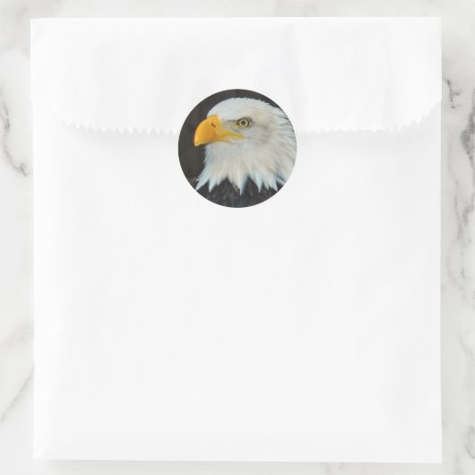 Eagle Head Stickers (Tas)