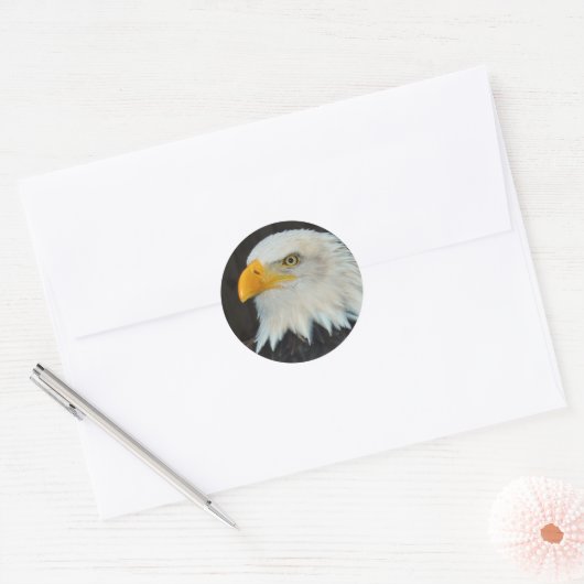 Eagle Head Stickers (Envelop)