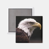 Eagle Head-studie Magneet (Voorkant / Achterkant)