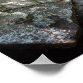 Eagle Herfsten, Kentucky Poster (Hoek)