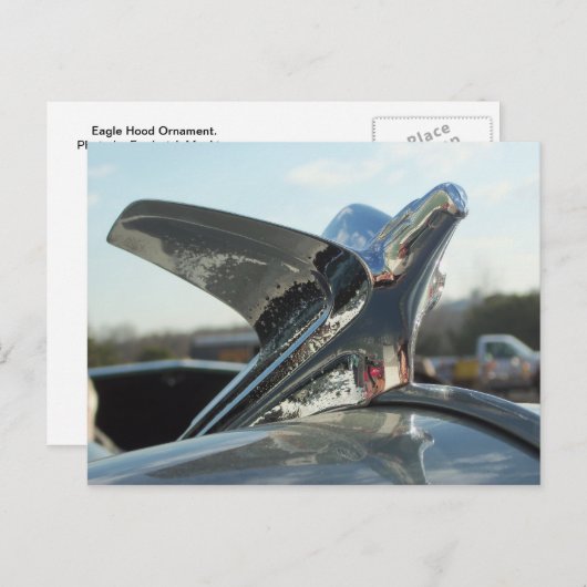 Eagle Hood Ornament Briefkaart (Voorkant / Achterkant)