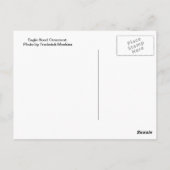 Eagle Hood Ornament Briefkaart (Achterkant)