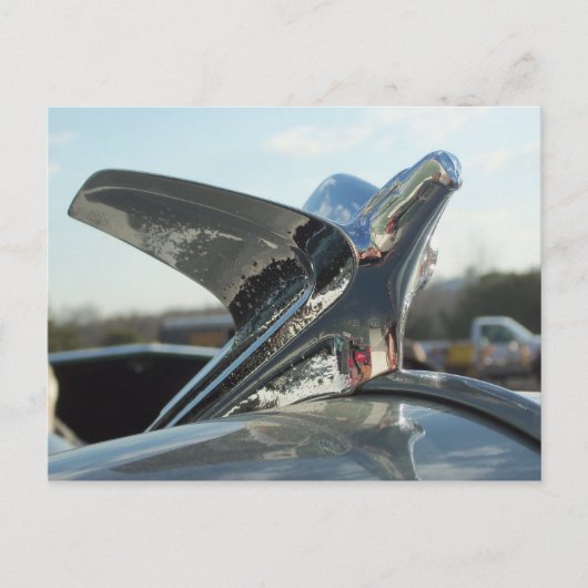 Eagle Hood Ornament Briefkaart (Voorkant)
