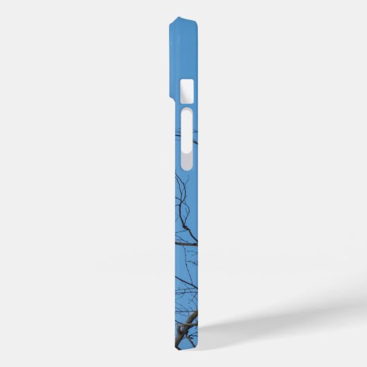 Eagle in Flight iPhone Case (Achterkant / Links)