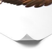 Eagle in Flight Wall Poster (Hoek)