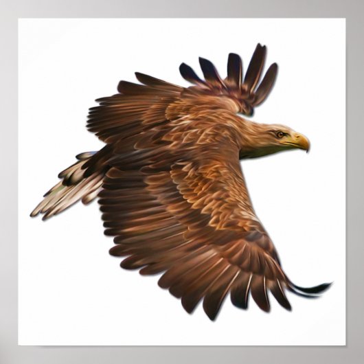 Eagle in Flight Wall Poster (Voorkant)